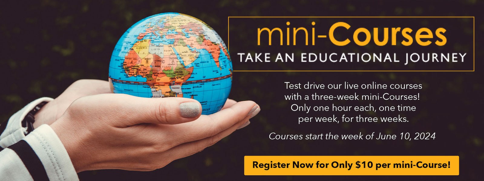 $10 mini live courses