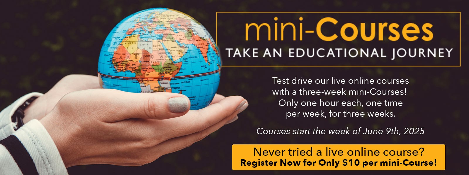 mini courses