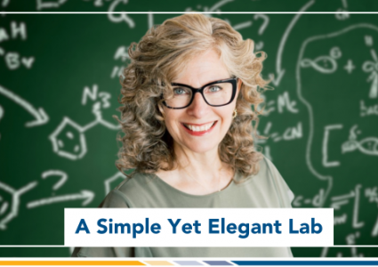A Simple Yet Elegant Lab | Elizabeth Nelson