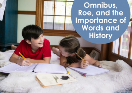 Omnibus, Roe, and the Importance of Words and History