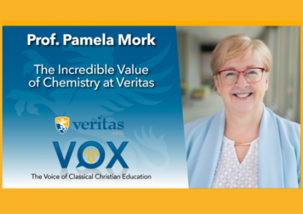 The Incredible Value of Chemistry at Veritas | Pamela Mork