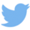 twitter icon